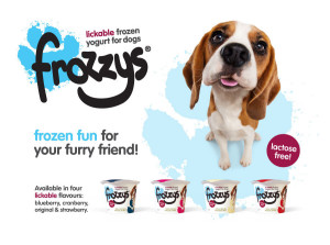 Frozzys-header.png