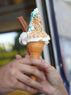 Ice Cream Van Low Emissions Indoor Event Tasty Ice Cream served at Low Emissions Event